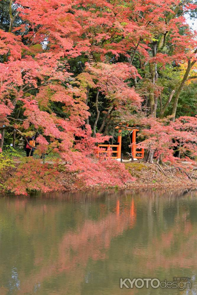 半木神社の秋