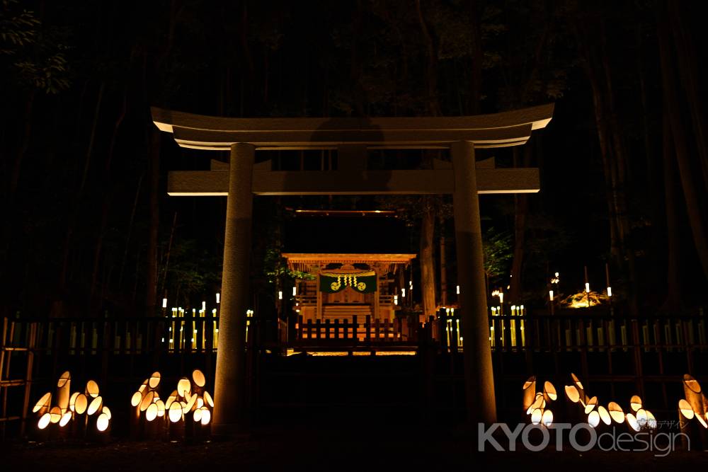 初の夜間拝観