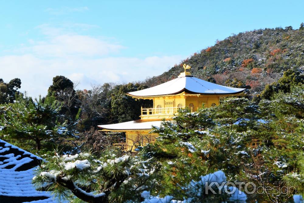 柿葺に雪