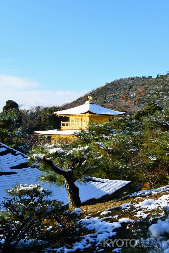 柿葺に雪化粧