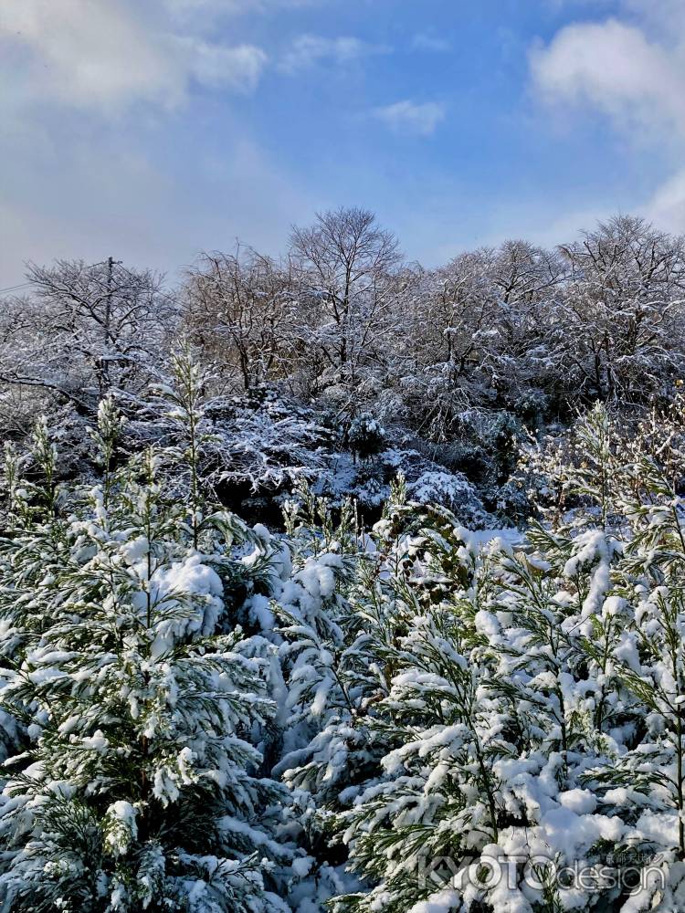 雪の原谷苑