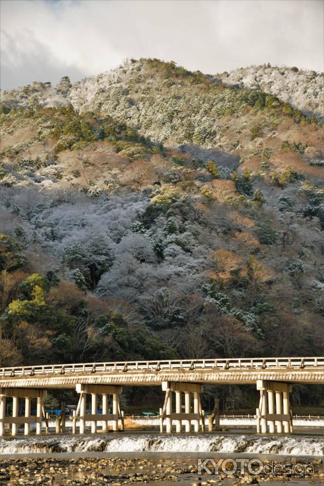 嵐山　雪化粧