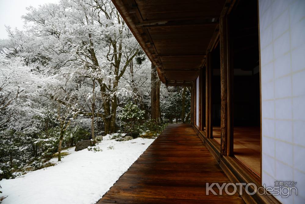 石水院からの雪景色