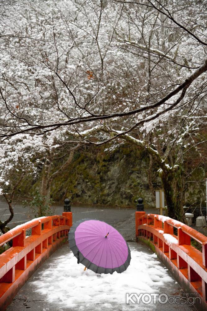 銀花と傘