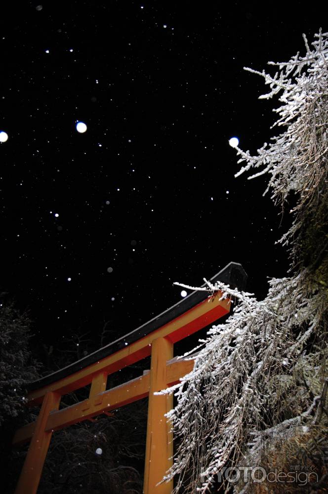 鳥居に舞う雪