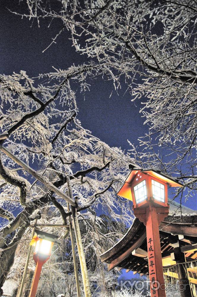 夜明けの雪