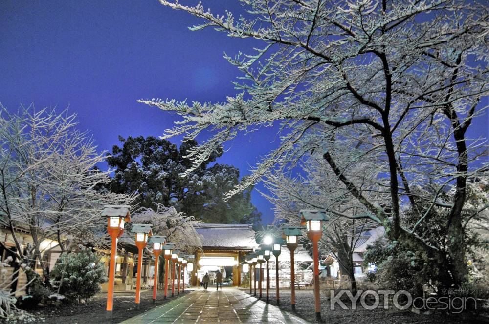 桜の薄雪