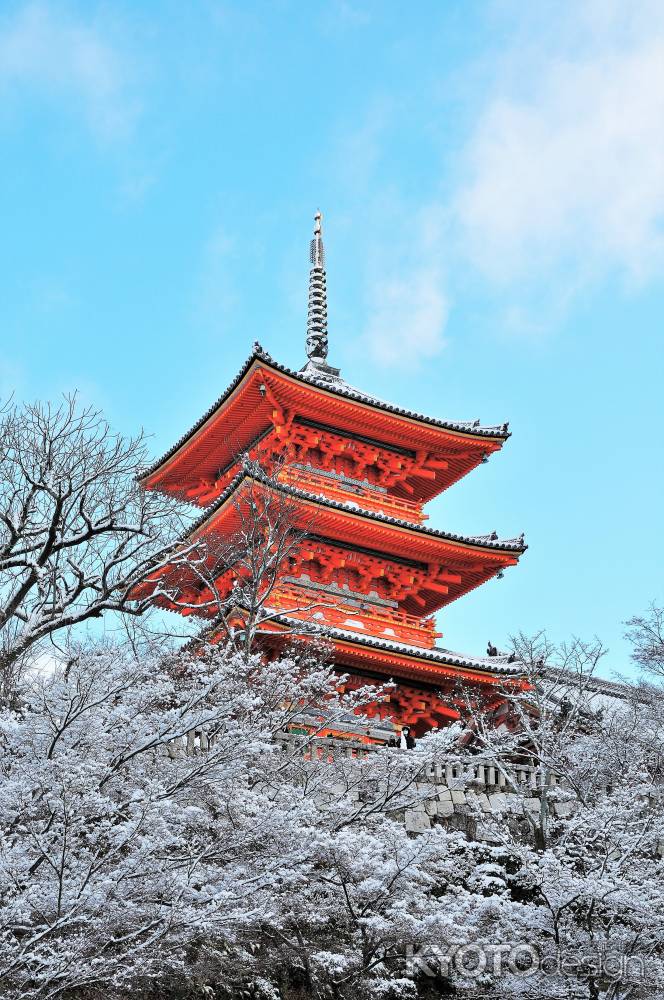 雪の清水寺