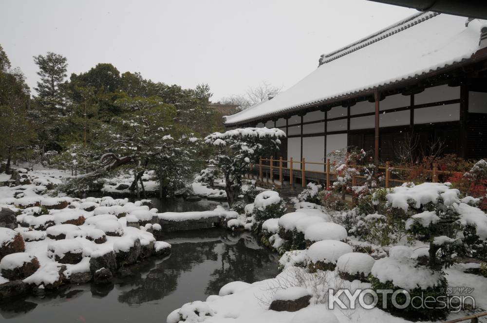 芙蓉池雪化粧