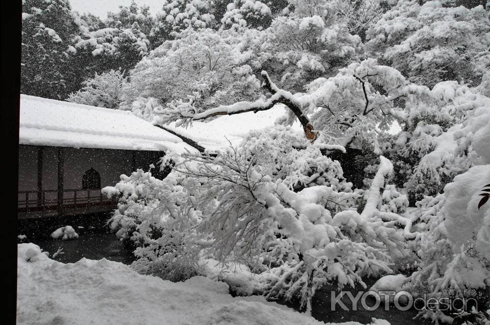 降り積もる雪