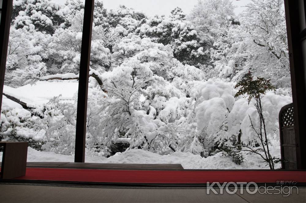 豪雪風景