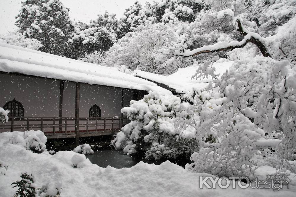 綿雪舞う