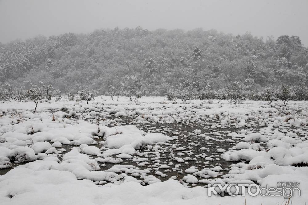 雪曇