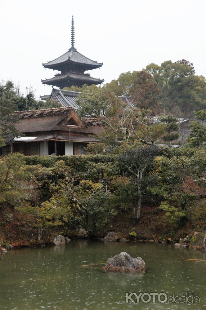 飛濤亭と五重塔　山茶花時雨