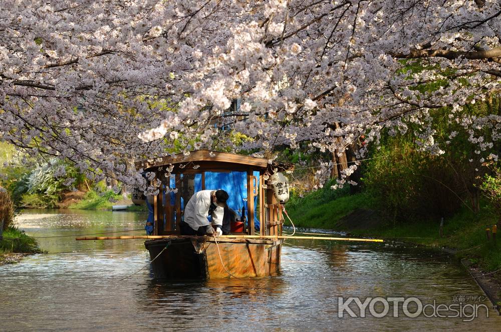 お疲れ様の春