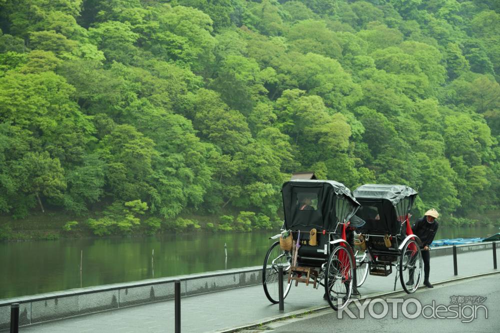 新緑の人力車