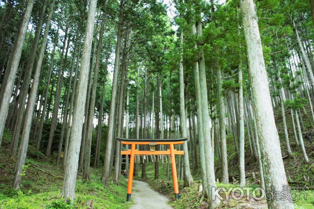 夏ながら 秋風立ちぬ氷室山 ここにぞ冬を 残すと思へば