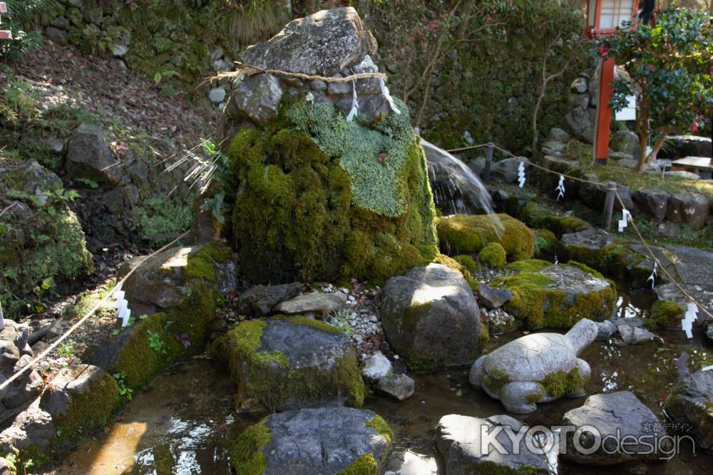 真名井の水　噴き出す