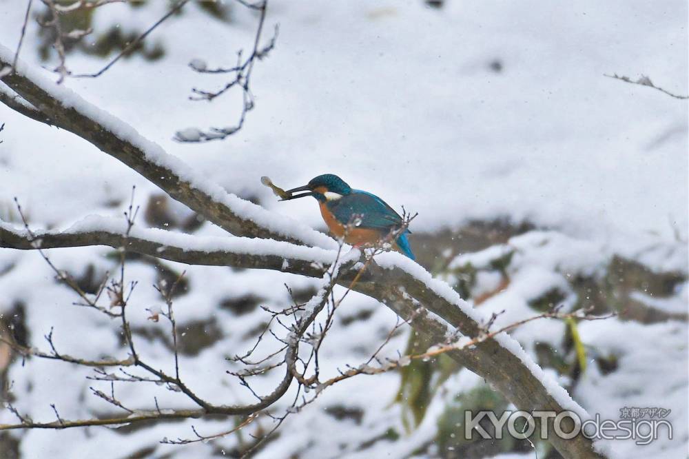 雪中の食事