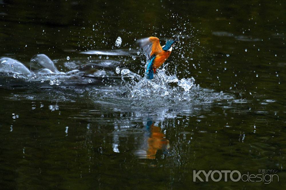 うねる水面