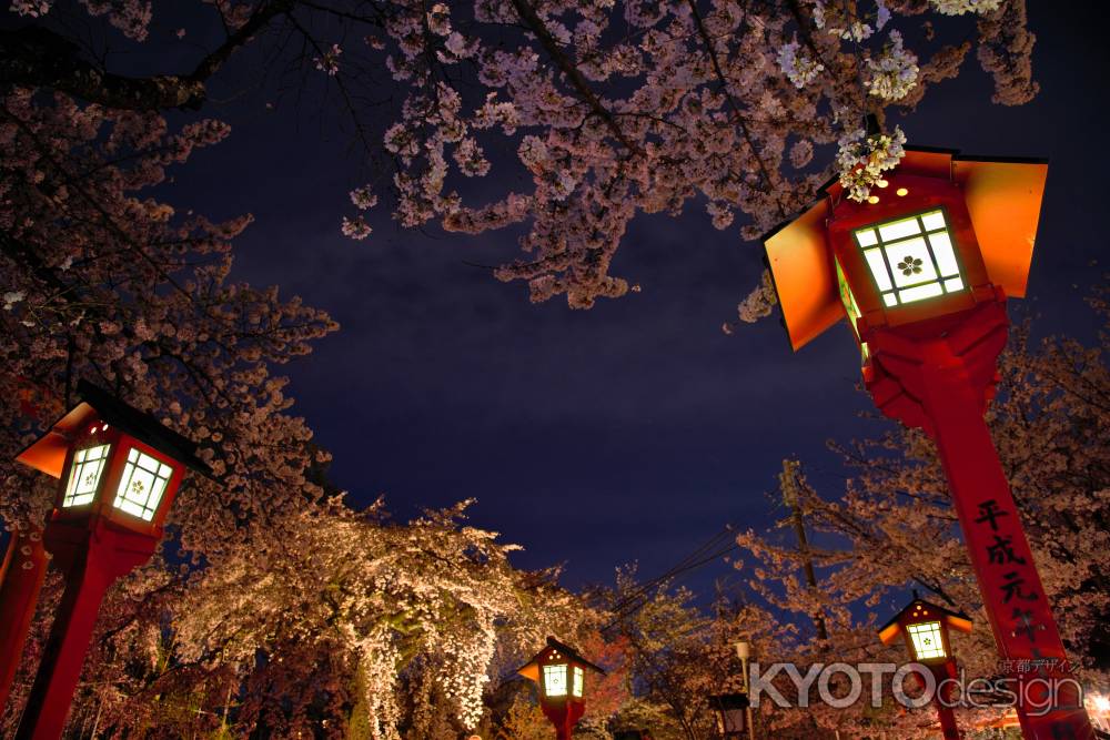 別世界の夜桜