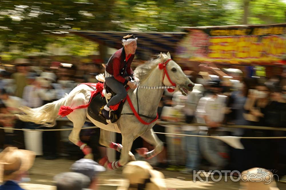 馬よし！馬場よし！乗子さんよしゃ！