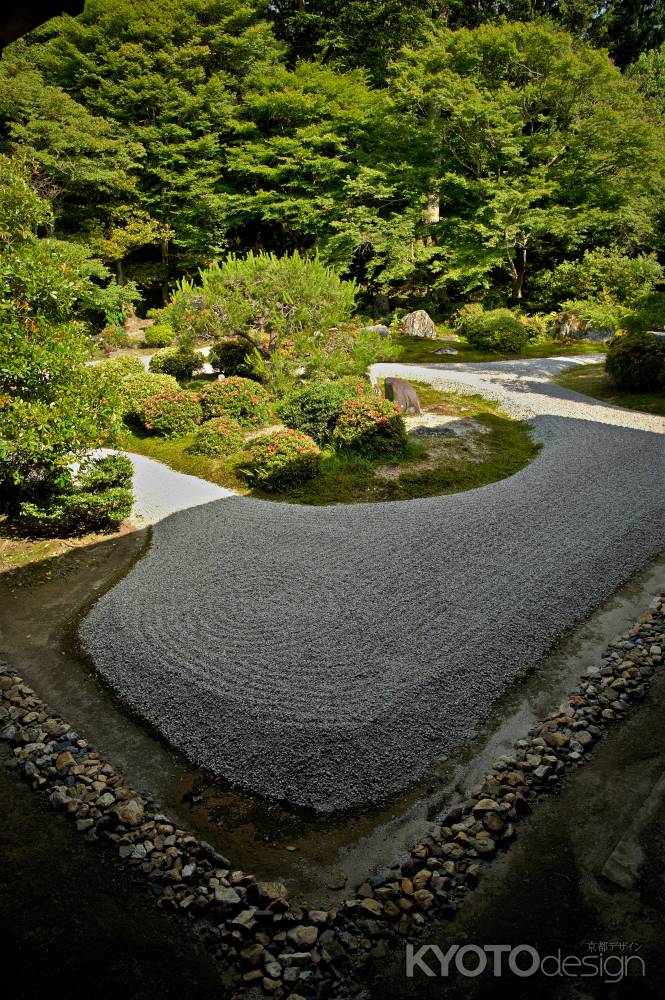 水の流れに亀島