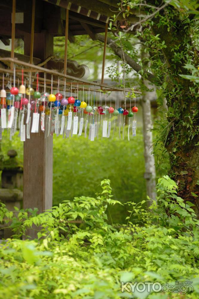 夏越の大祓と風鈴祈願