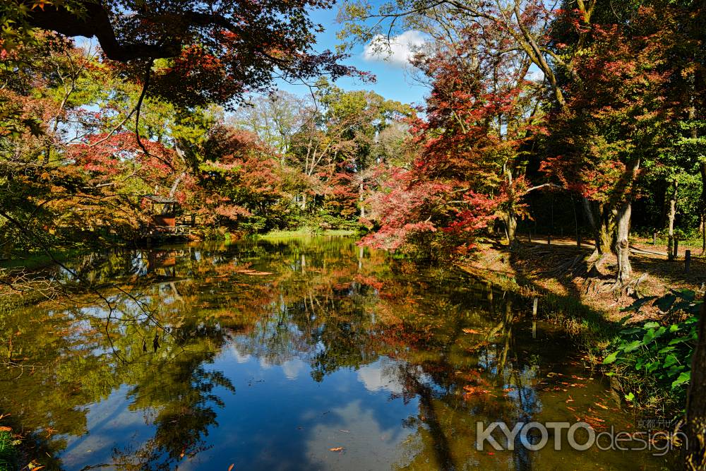 植物園　色づく