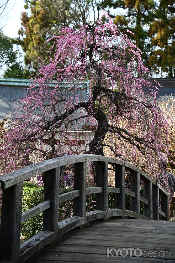 神の随に