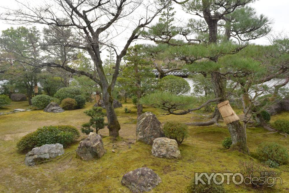 智積院　名勝庭園１