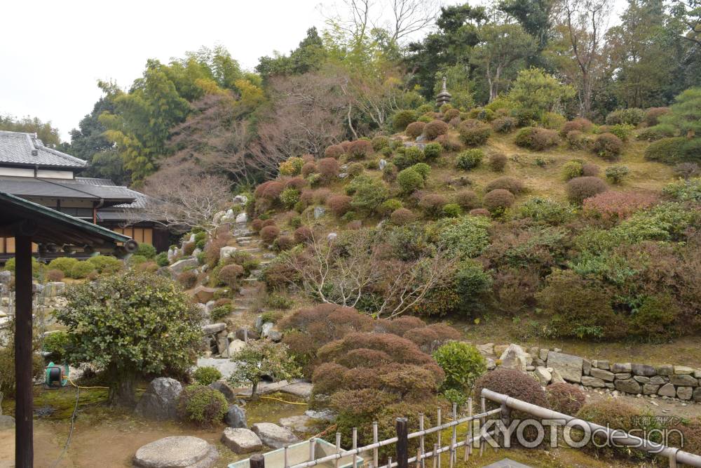 智積院　名勝庭園７