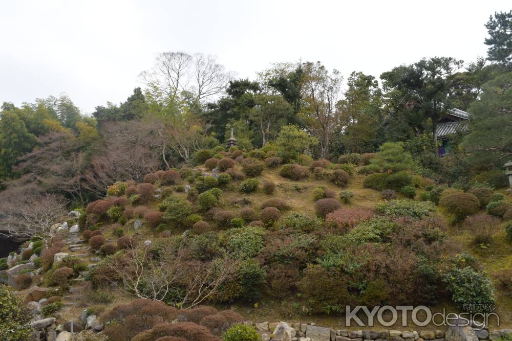 智積院　名勝庭園８