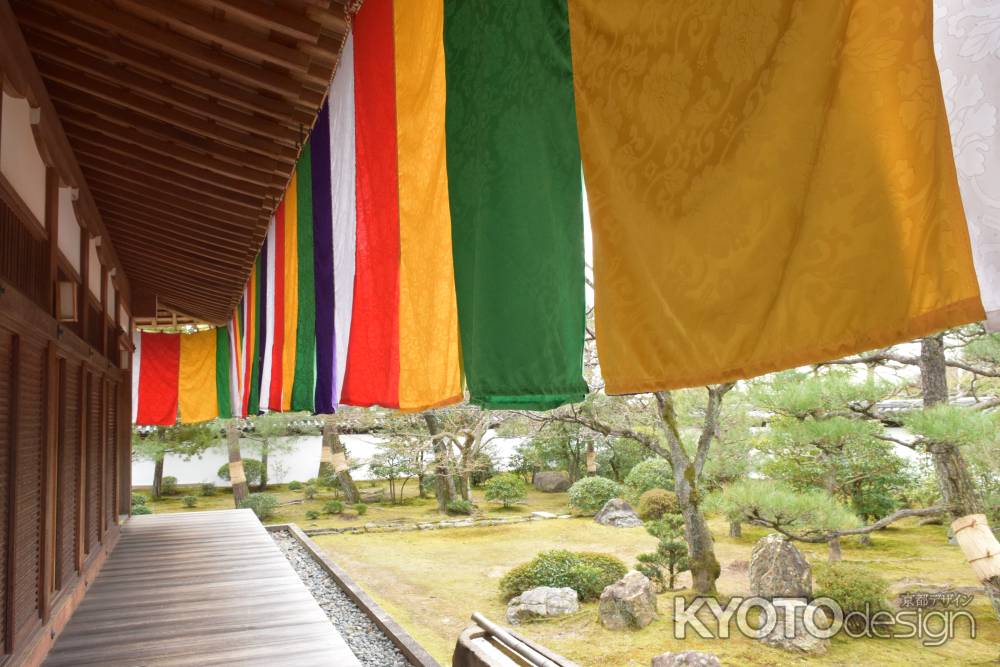 智積院　名勝庭園　五色幕