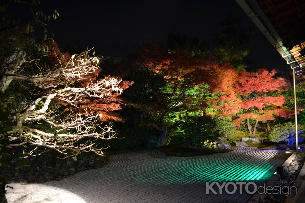 圓徳院　南庭の紅葉ライトアップ