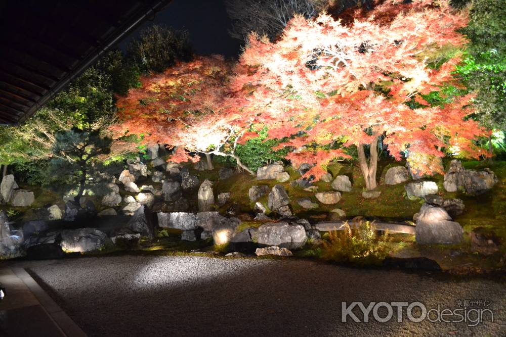 圓徳院　北庭　紅葉ライトアップ