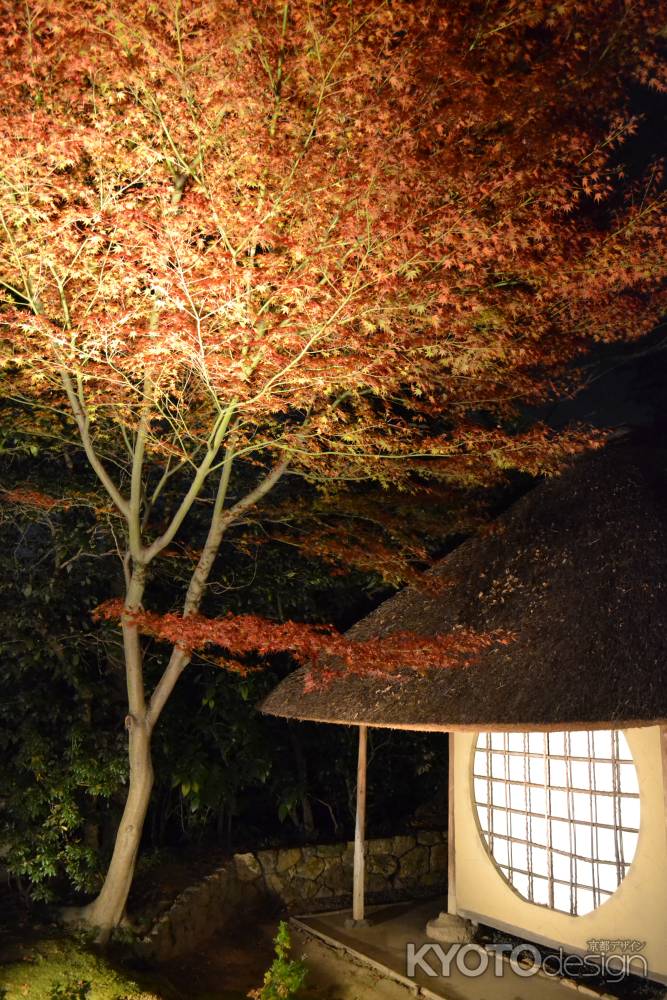 高台寺　茶室・遺芳庵と紅葉