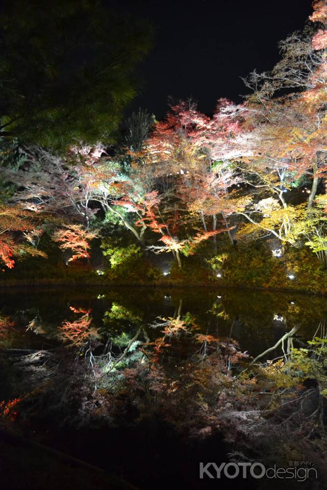 高台寺　臥龍池と紅葉ライトアップその２