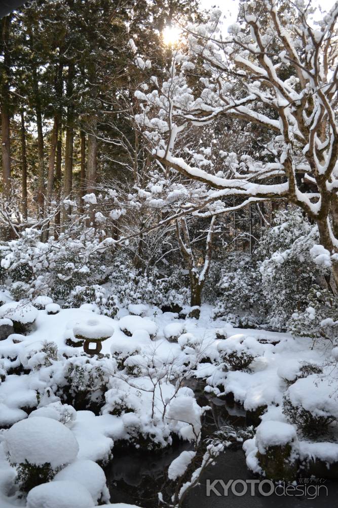 三千院　雪の庭園