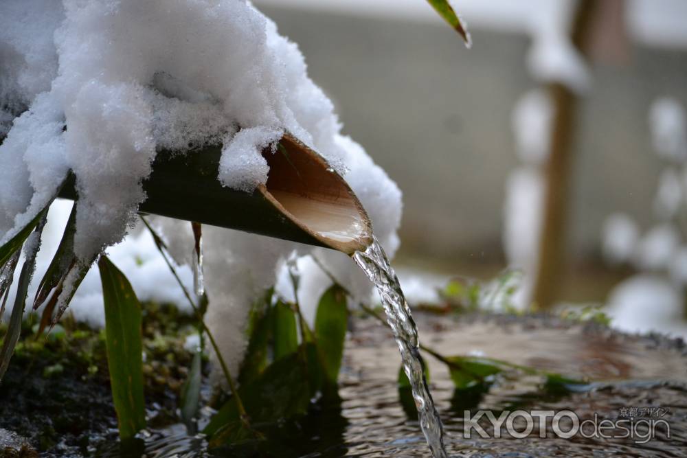 三千院　手水鉢と雪