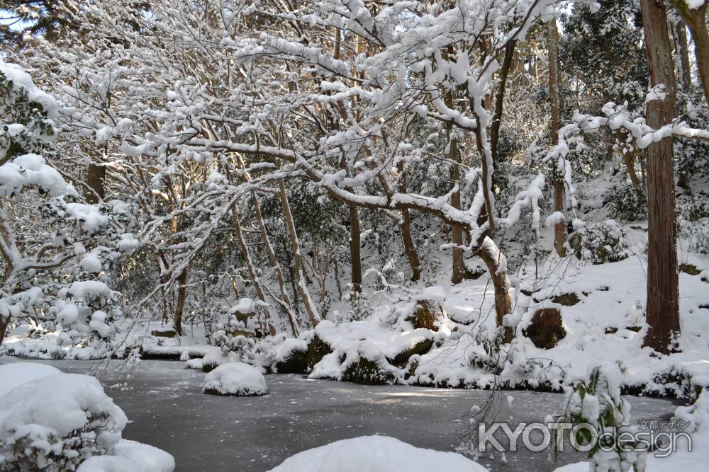 三千院　雪の庭園と池その２