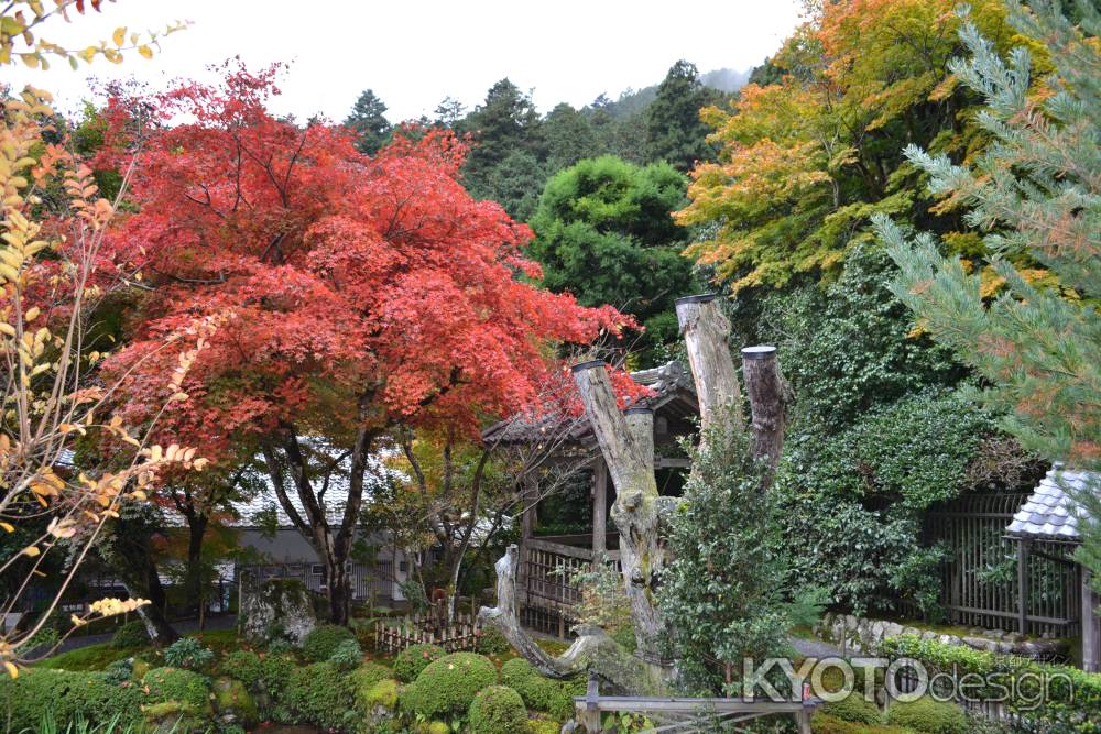 寂光院　秋の庭園