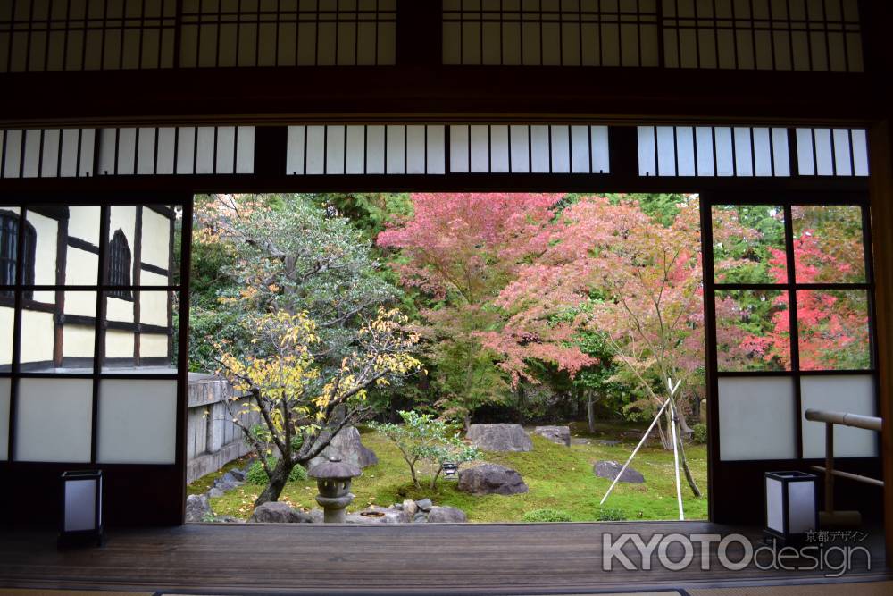 勝林寺　庭園の紅葉　本堂にて