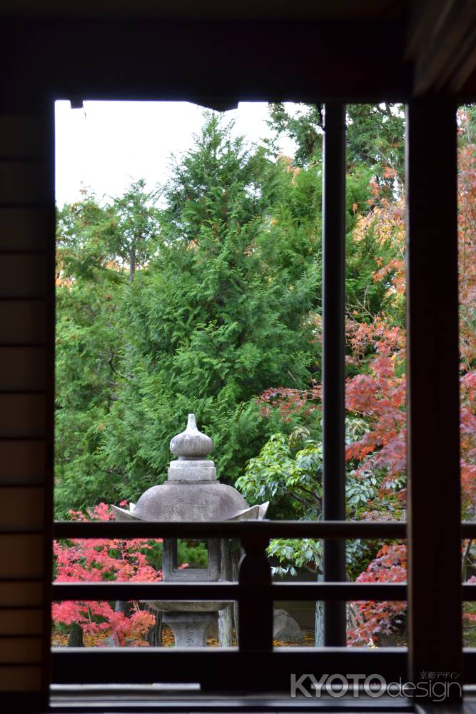 勝林寺　本堂からの紅葉