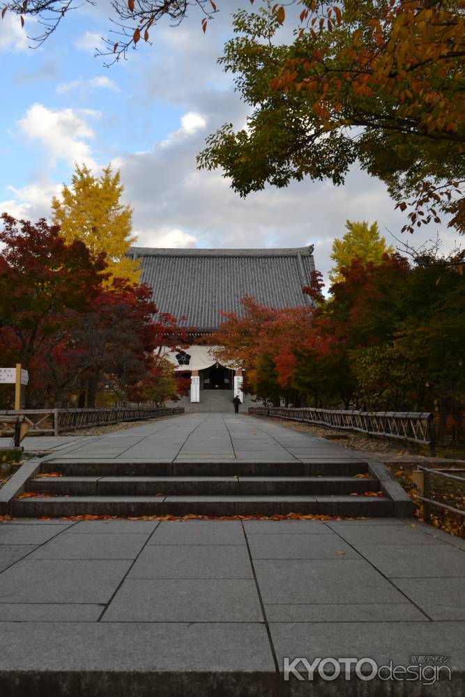 智積院　参道の紅葉