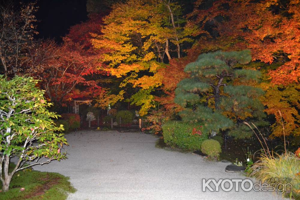 天授庵　書院より　紅葉ライトアップ