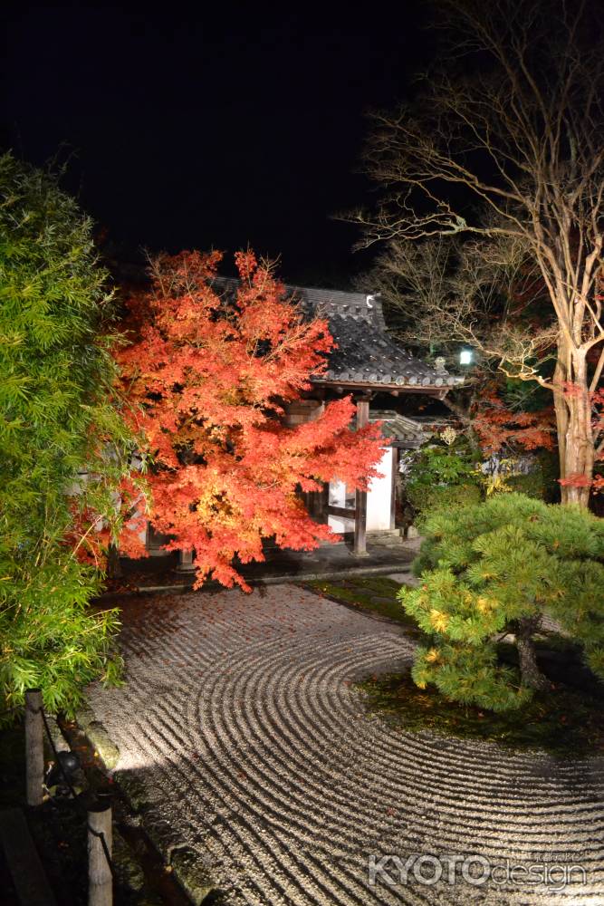 天授庵　本堂前庭　紅葉ライトアップその２