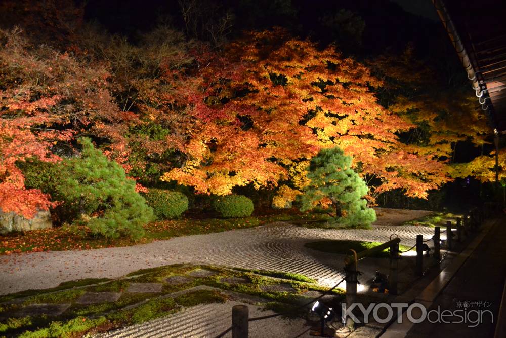 天授庵　本堂前庭　紅葉ライトアップその３