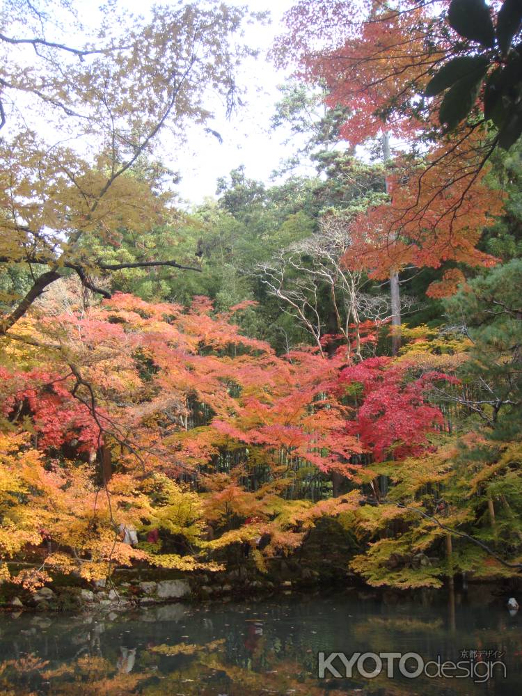 天授庵　書院南庭　紅葉その２