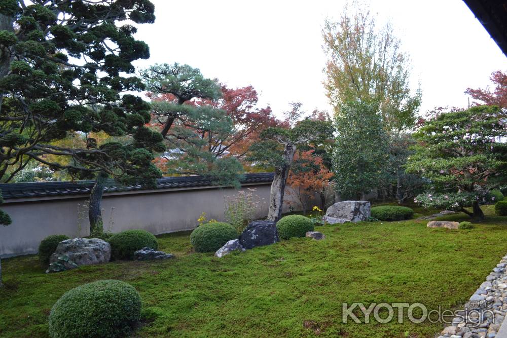 天得院　庭園その２